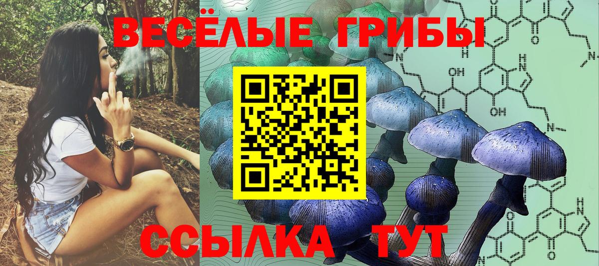 Псилоцибиновые грибы ЛСД  Вход с VPN  Чита 