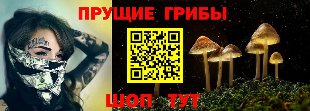 Галлюциногенные грибы Psilocybe Чита