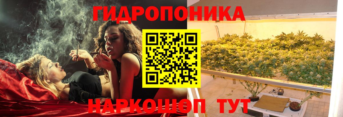 МАРИХУАНА план  Вход с VPN  Каннабис семена  Чита 